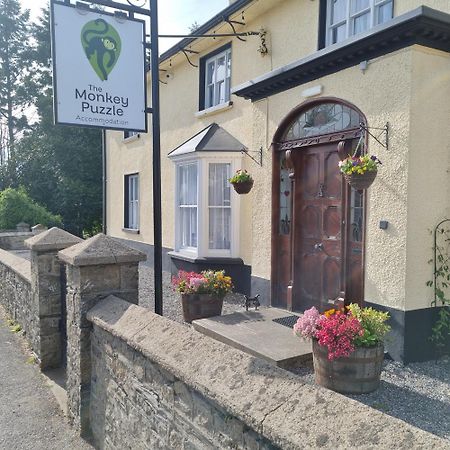 Hotel The Monkey Puzzle Bunclody Esterno foto