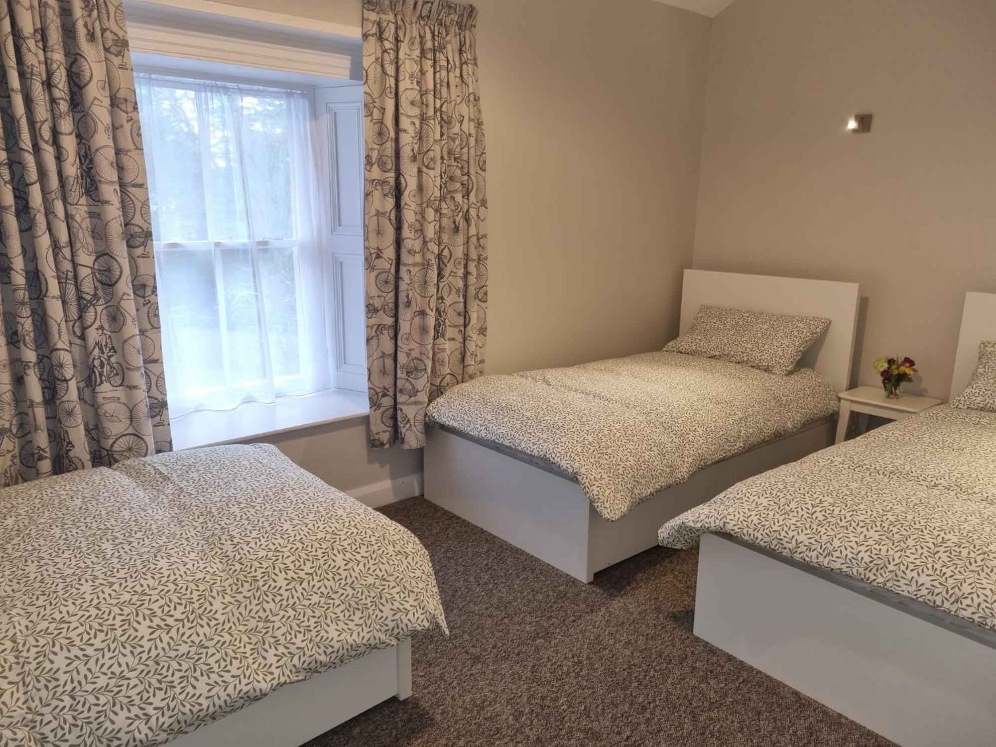 Hotel The Monkey Puzzle Bunclody Esterno foto