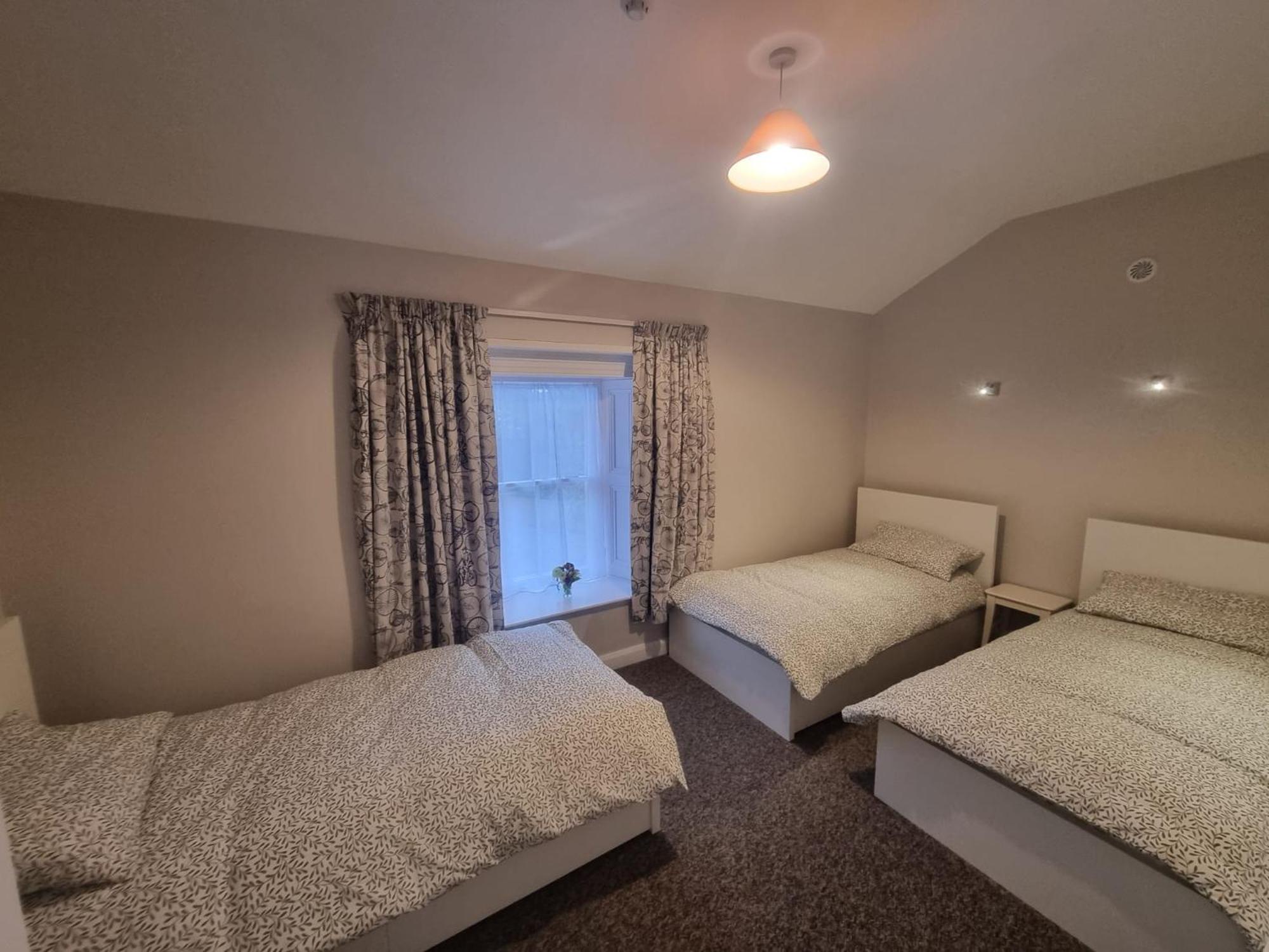 Hotel The Monkey Puzzle Bunclody Esterno foto