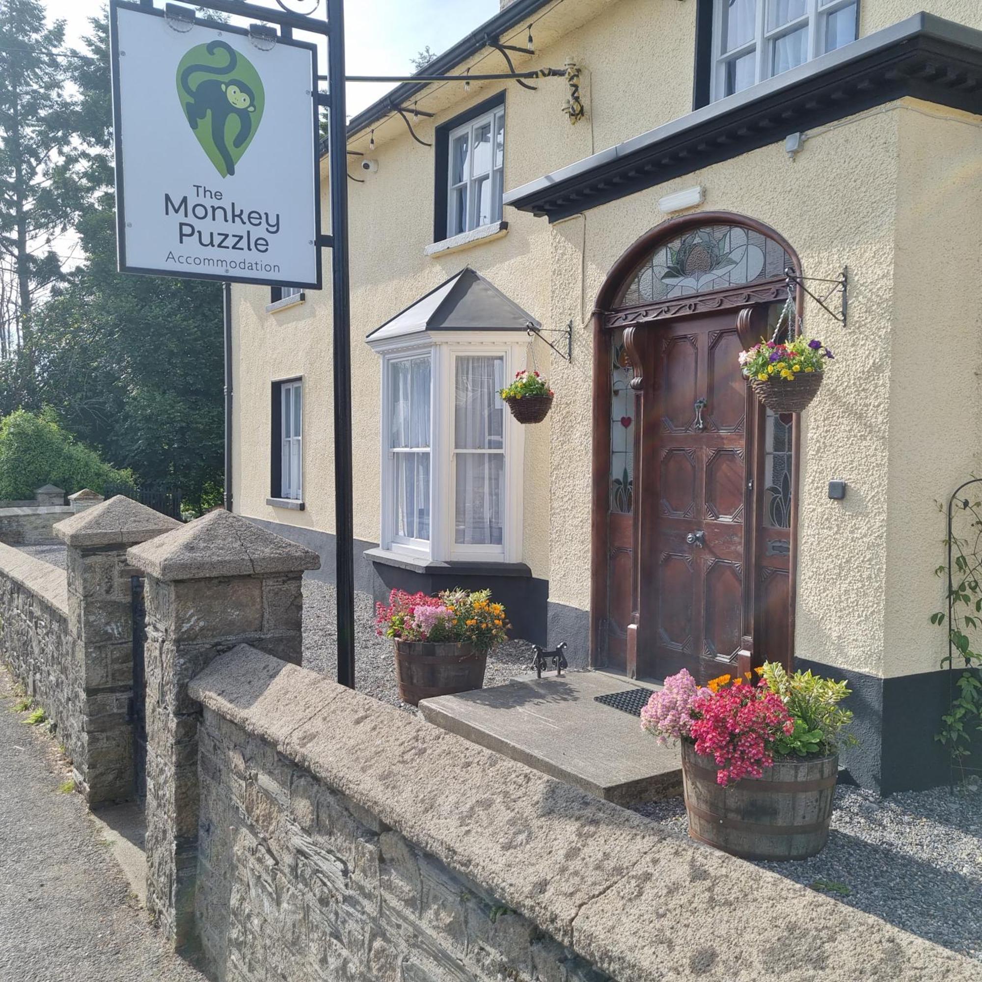Hotel The Monkey Puzzle Bunclody Esterno foto