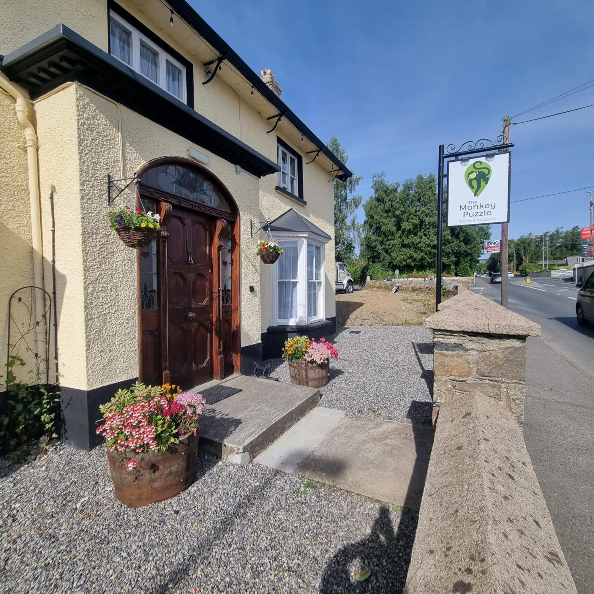 Hotel The Monkey Puzzle Bunclody Esterno foto